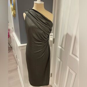 NWT Lauren by Ralph Lauren Dress